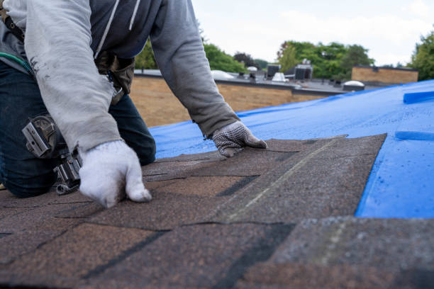 Best Storm Damage Roof Repair  in Apple Creek, OH